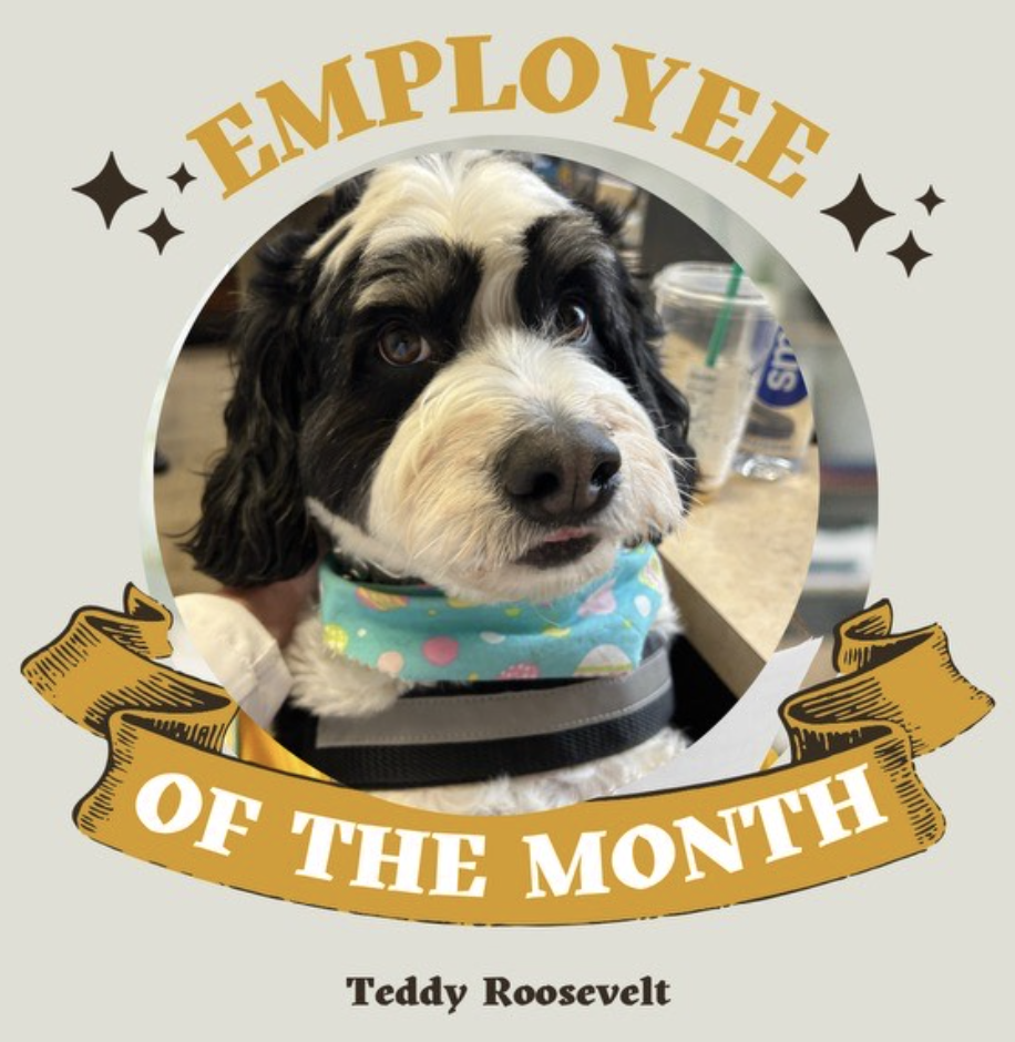 Meet Dr. Kirchner’s New Therapy Dog, Teddy!